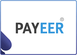 Payeer for E-commerce A Guide to Accepting Payments on Your Online Store"